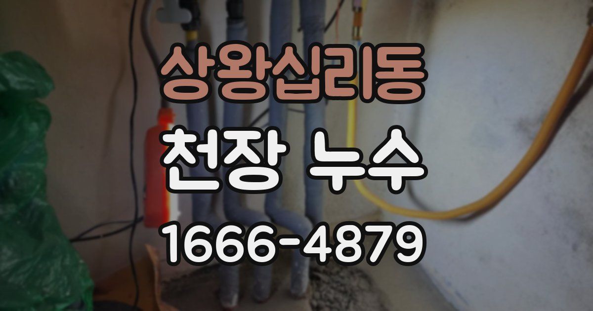 상왕십리동 천장 누수