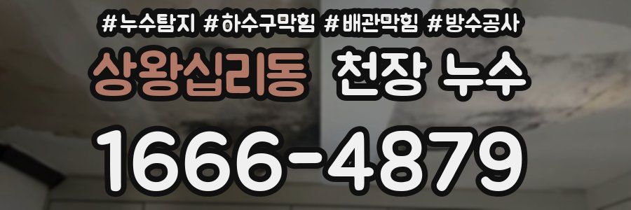 상왕십리동 천장 누수