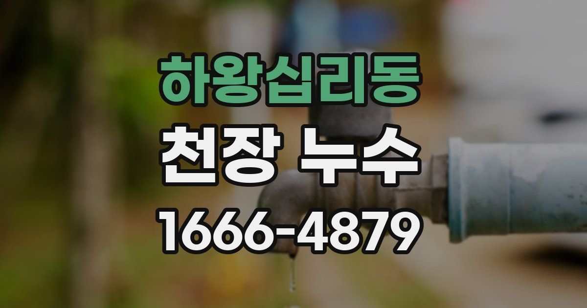 하왕십리동 천장 누수