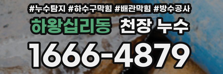 하왕십리동 천장 누수