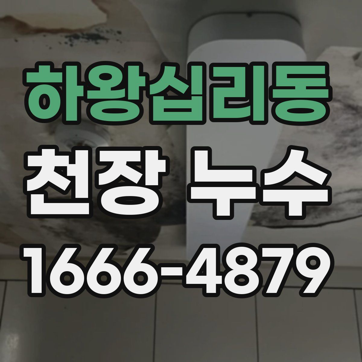 하왕십리동 천장 누수