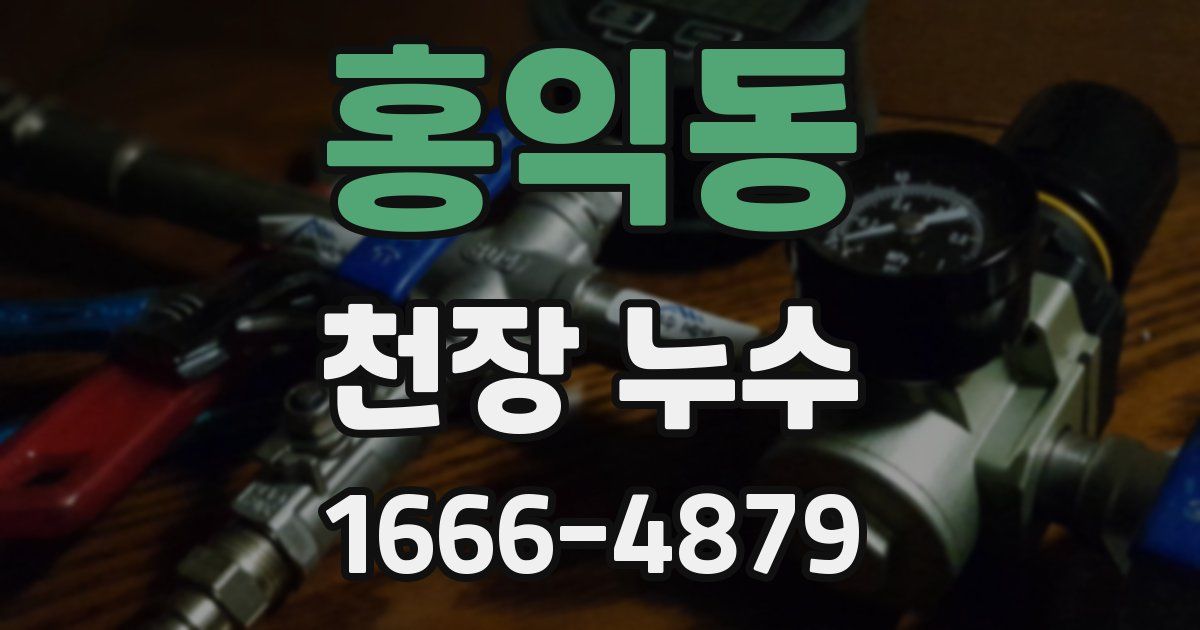 홍익동 천장 누수