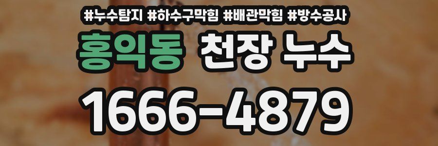 홍익동 천장 누수