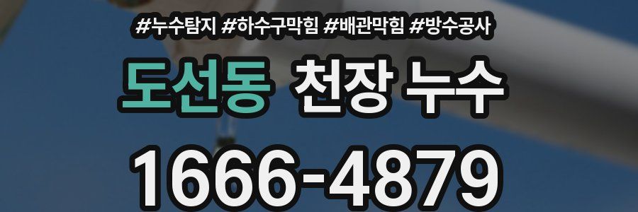 도선동 천장 누수