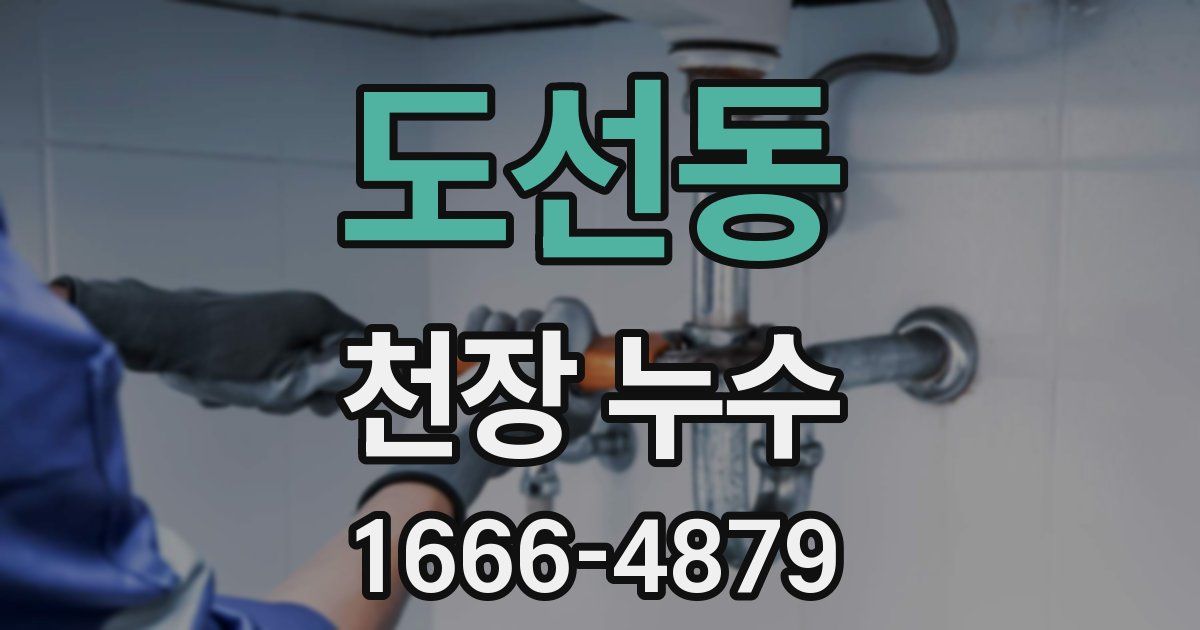 도선동 천장 누수