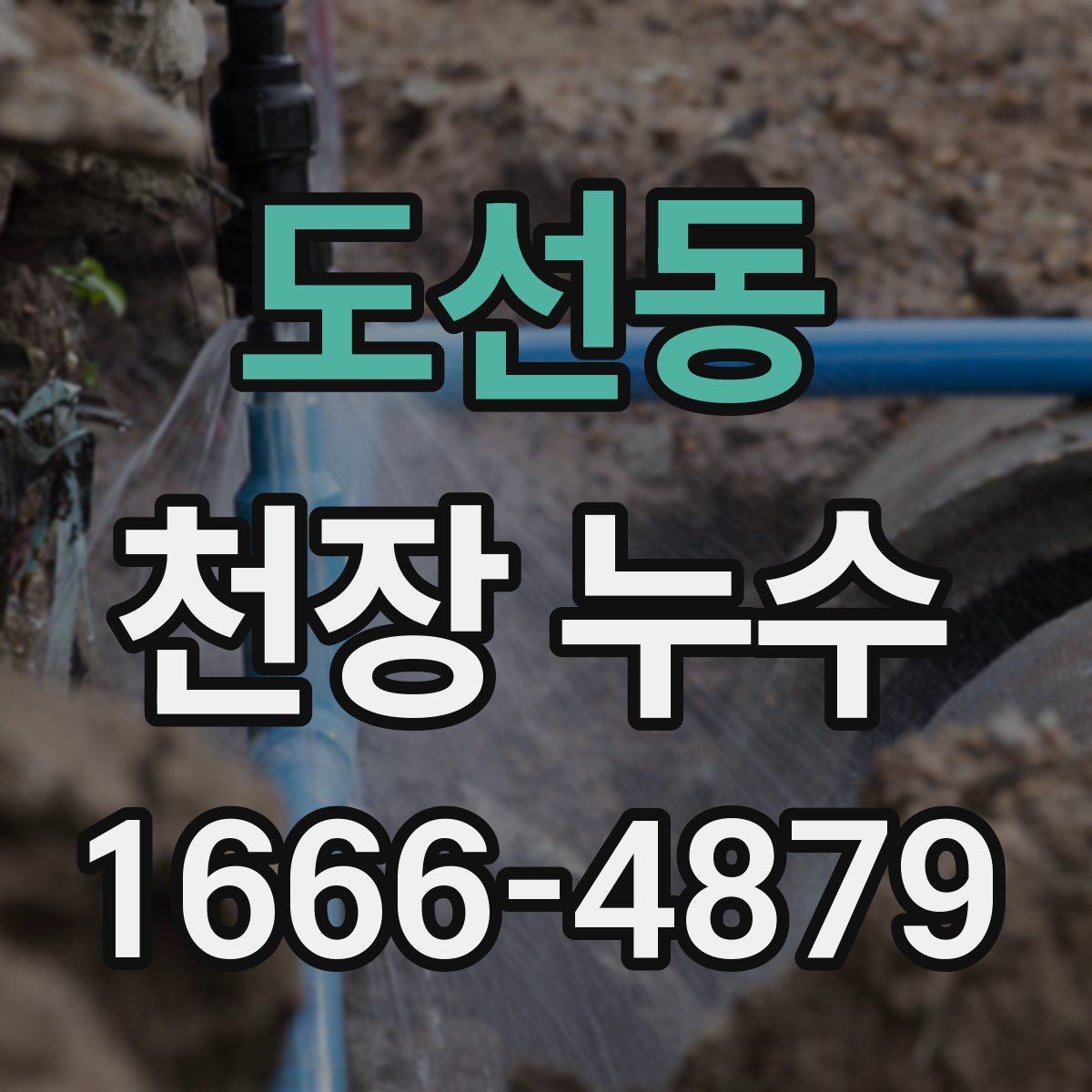 도선동 천장 누수