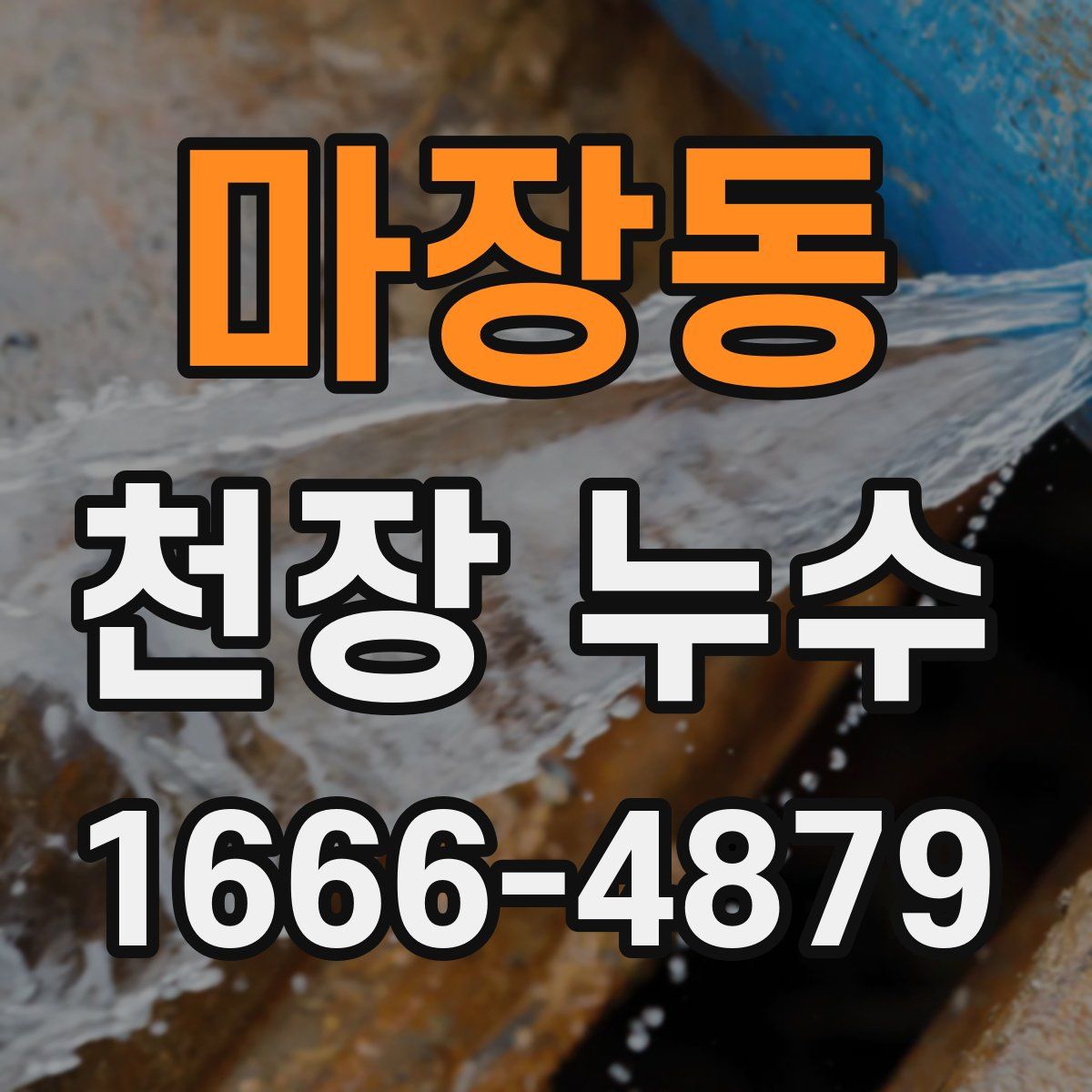 마장동 천장 누수
