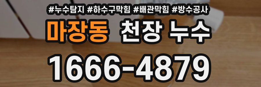 마장동 천장 누수