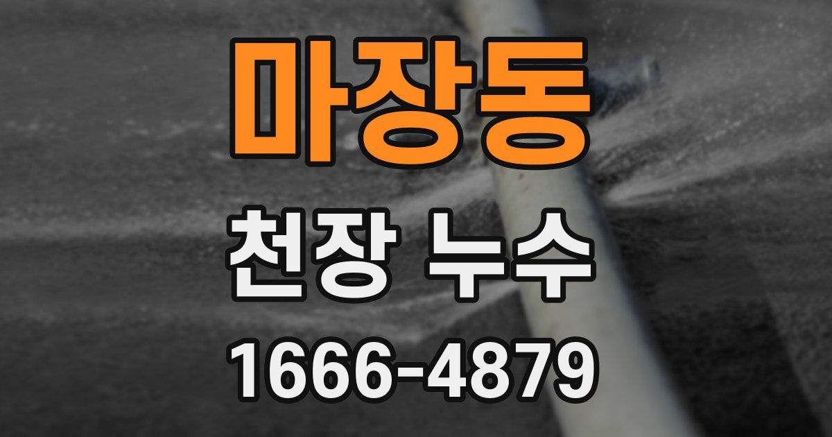 마장동 천장 누수