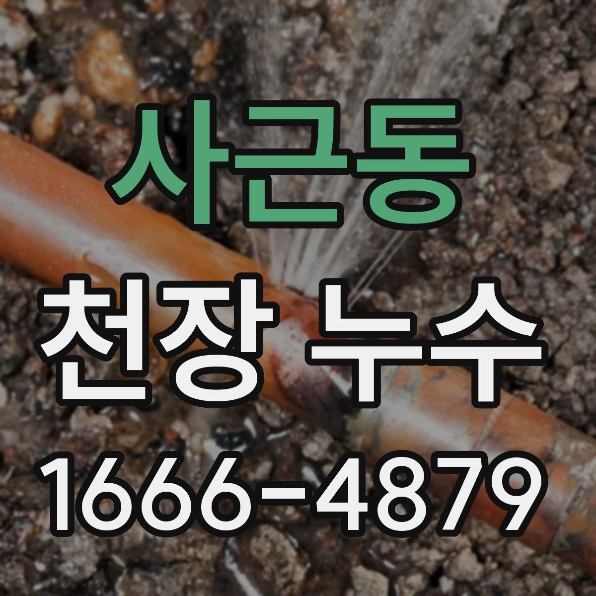 사근동 천장 누수