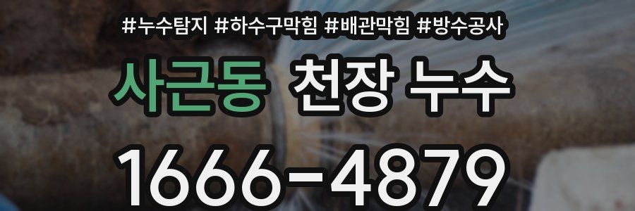 사근동 천장 누수