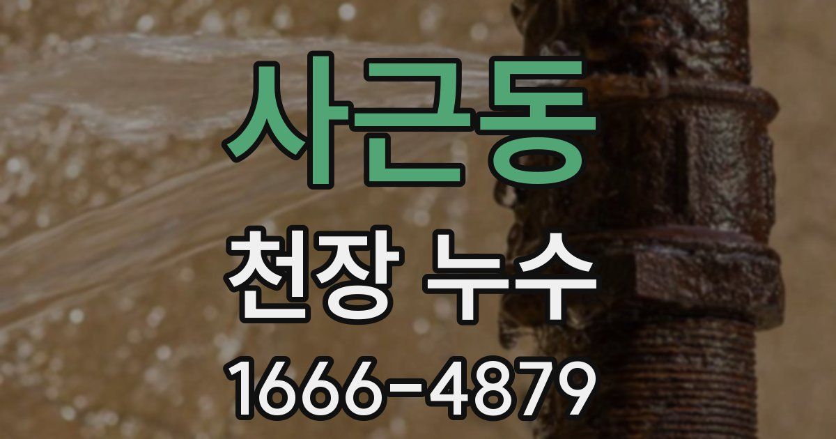 사근동 천장 누수