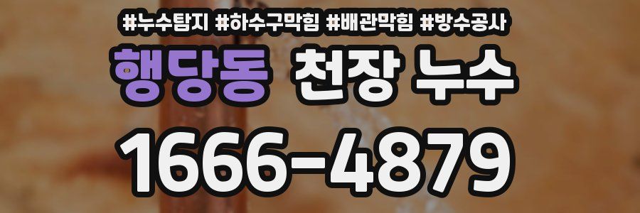 행당동 천장 누수