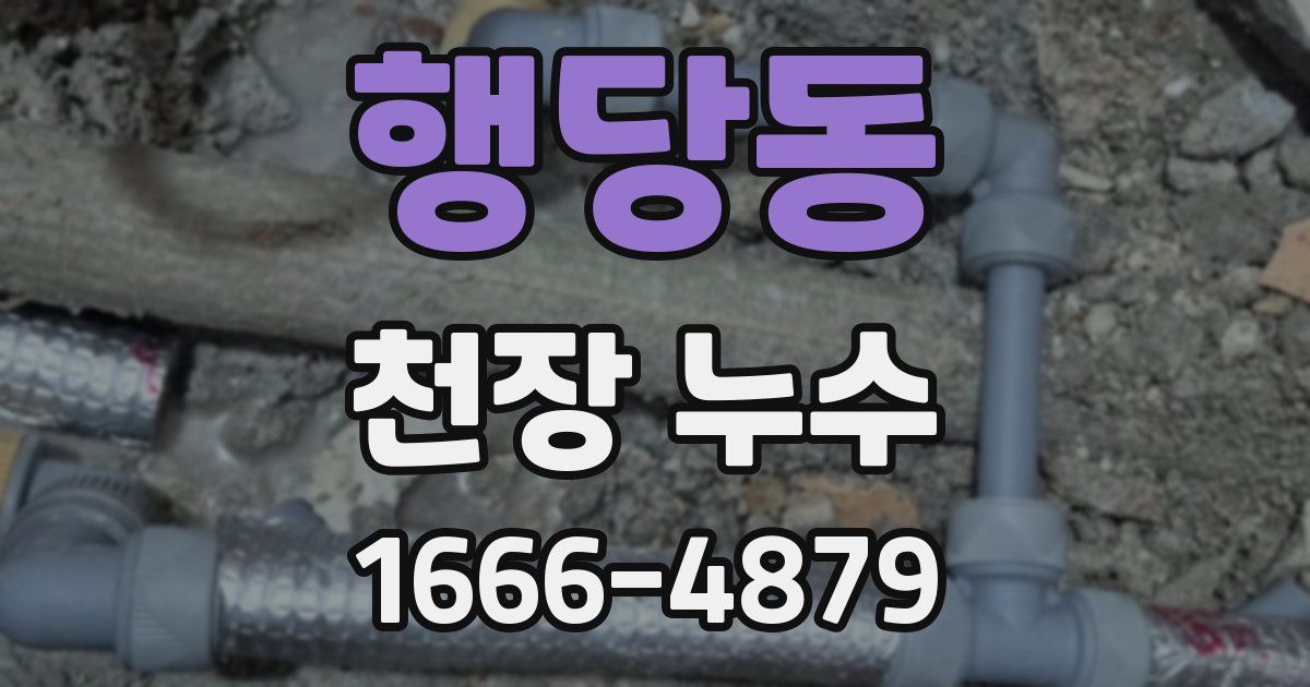 행당동 천장 누수
