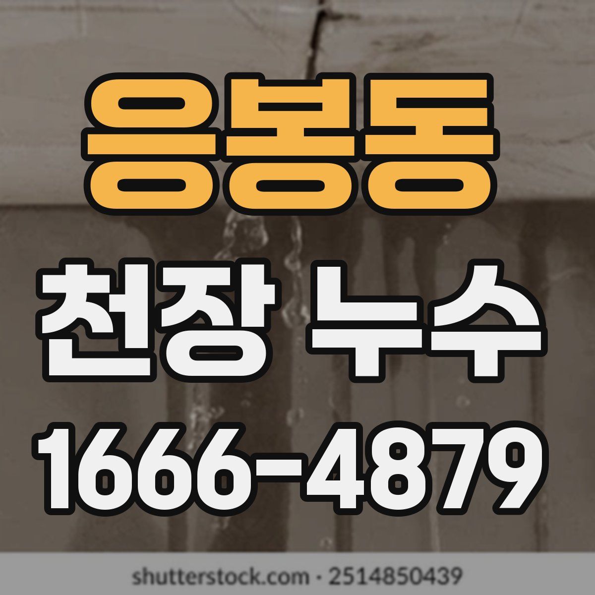 응봉동 천장 누수