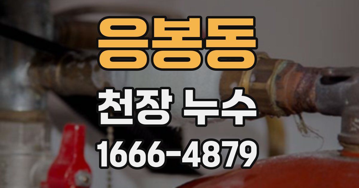응봉동 천장 누수