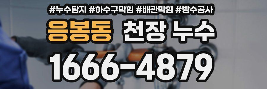응봉동 천장 누수