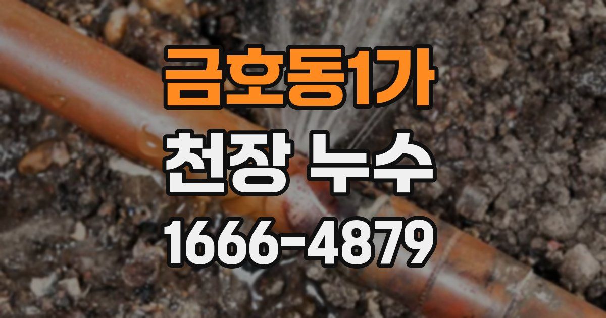 금호동1가 천장 누수