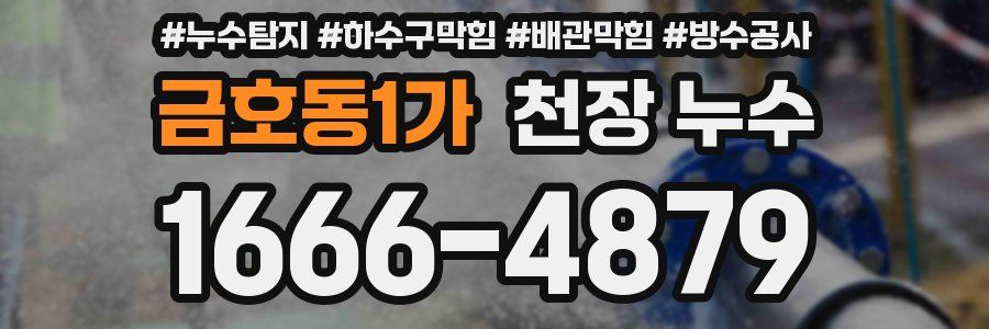 금호동1가 천장 누수