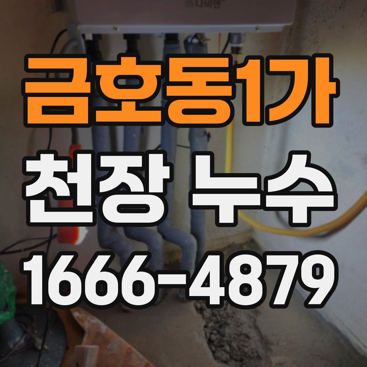 금호동1가 천장 누수