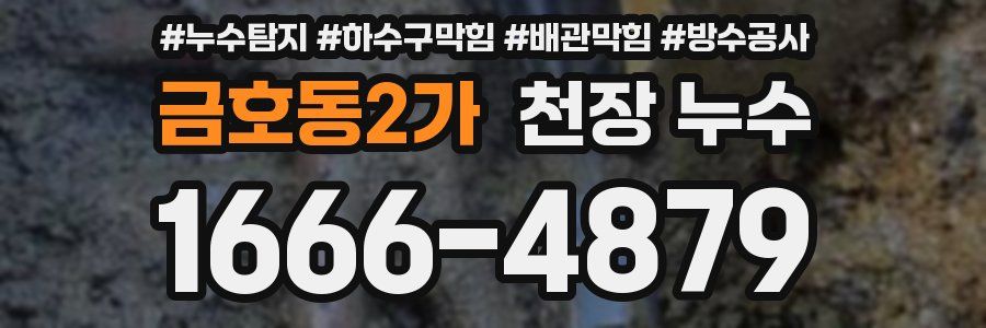 금호동2가 천장 누수
