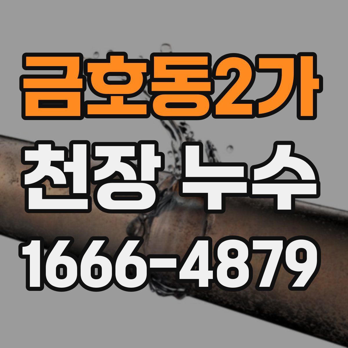 금호동2가 천장 누수