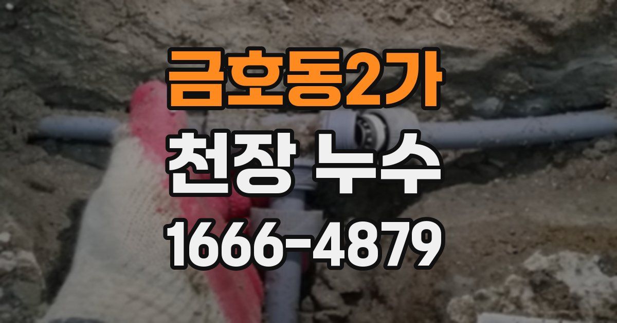 금호동2가 천장 누수