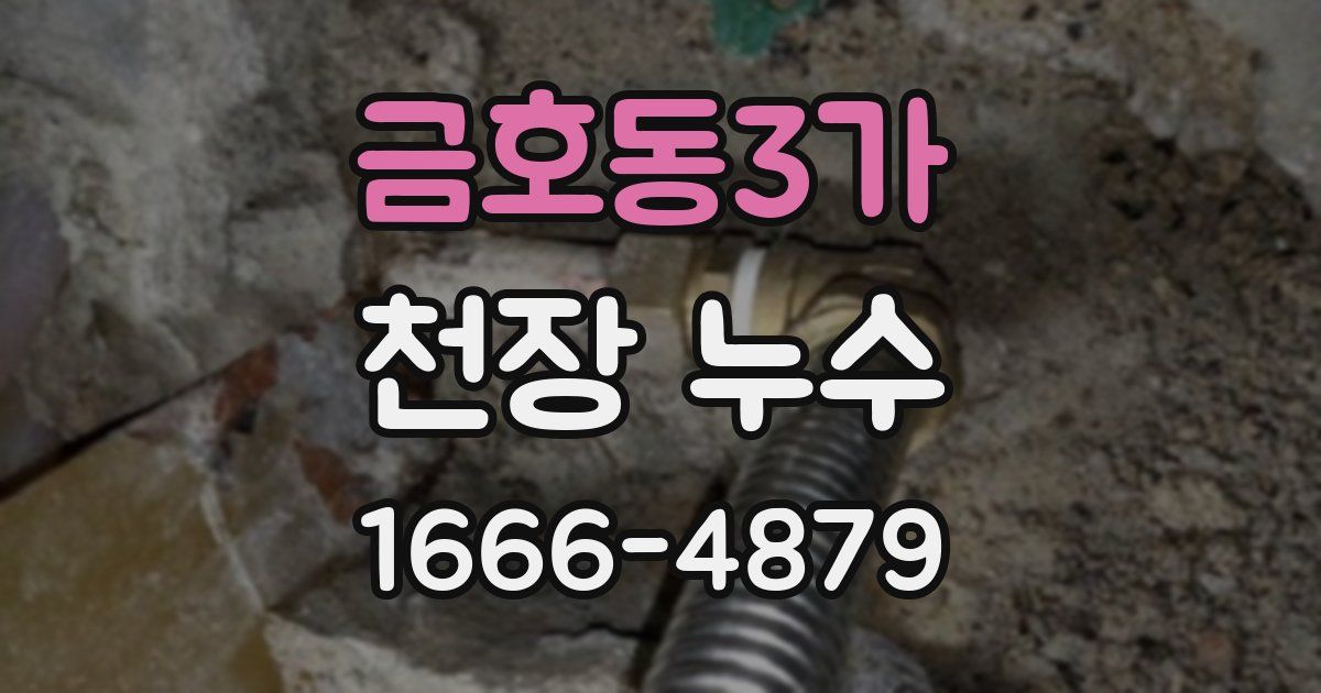 금호동3가 천장 누수