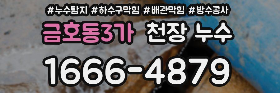 금호동3가 천장 누수