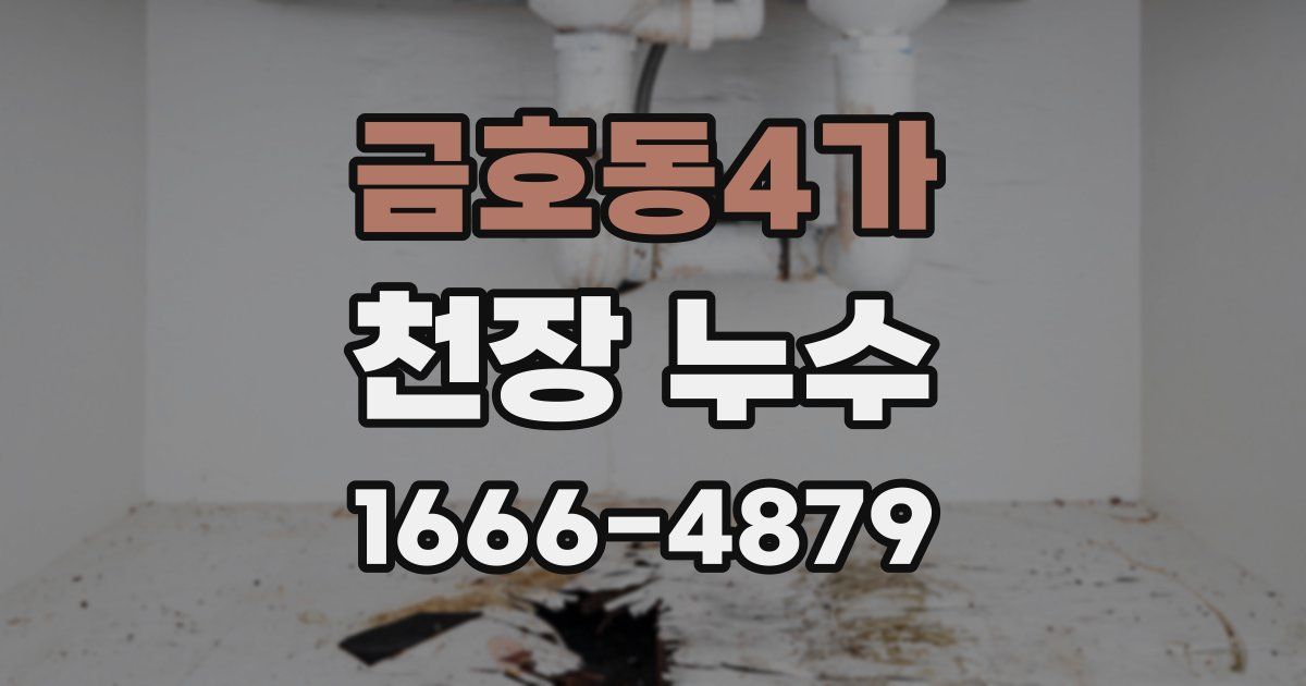 금호동4가 천장 누수