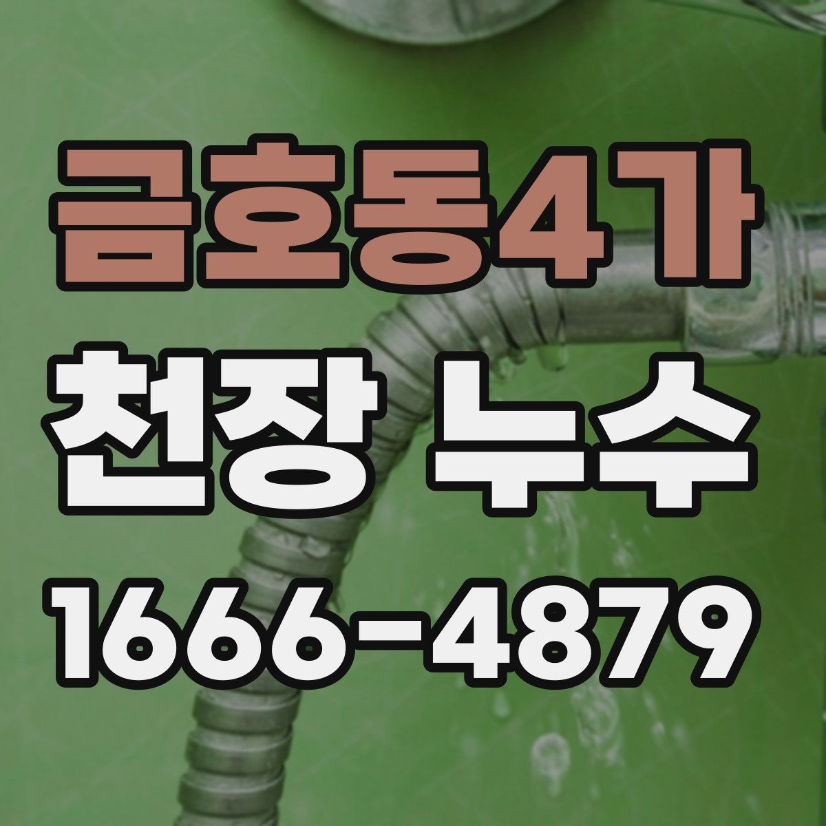 금호동4가 천장 누수