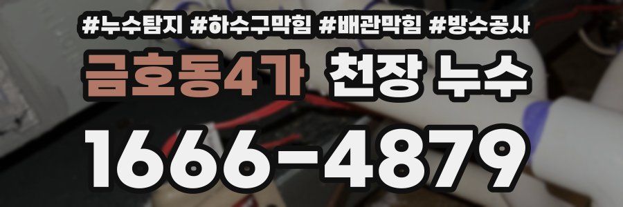 금호동4가 천장 누수