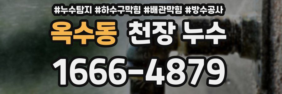 옥수동 천장 누수