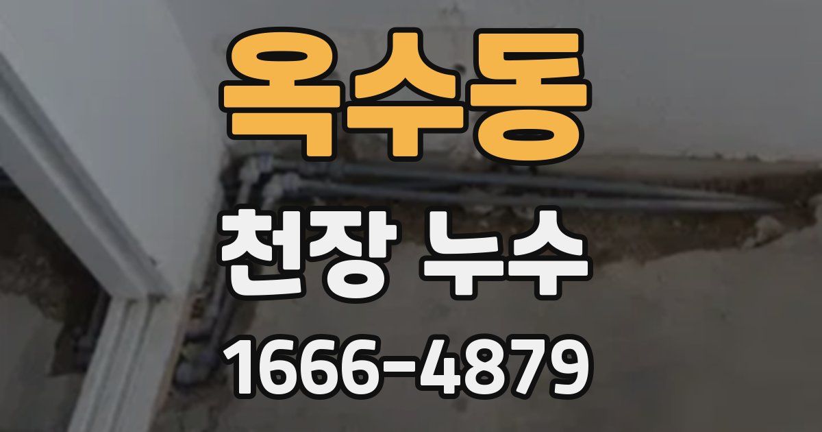 옥수동 천장 누수