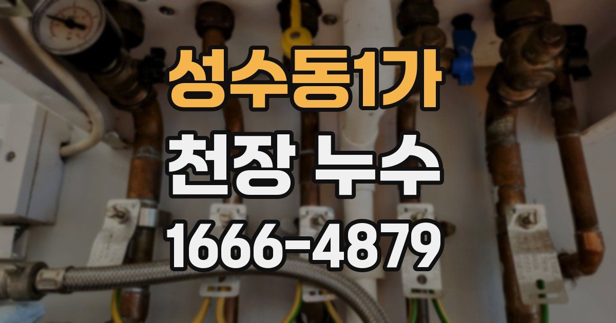 성수동1가 천장 누수