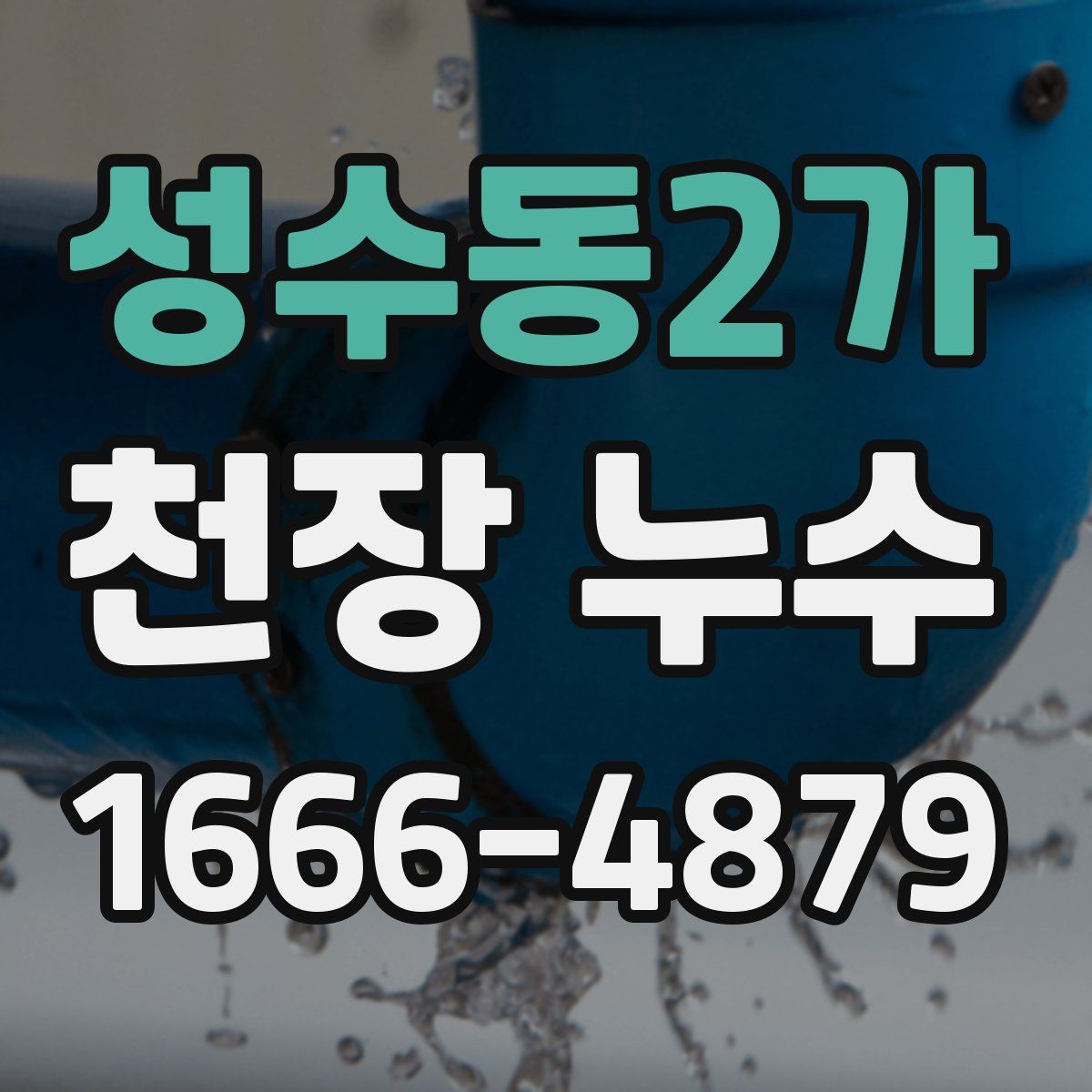 성수동2가 천장 누수