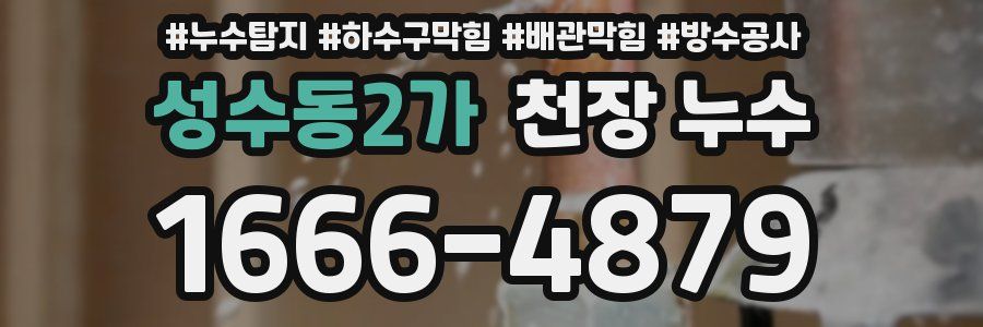 성수동2가 천장 누수