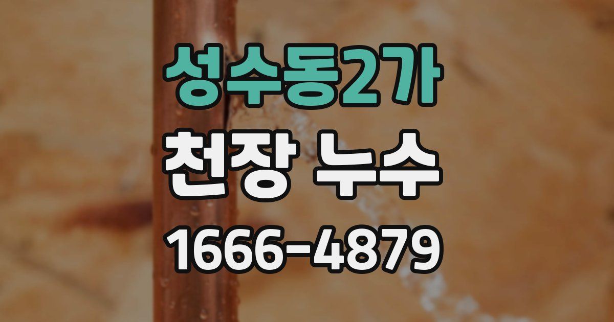 성수동2가 천장 누수