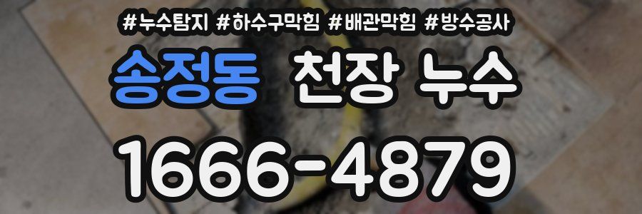 송정동 천장 누수