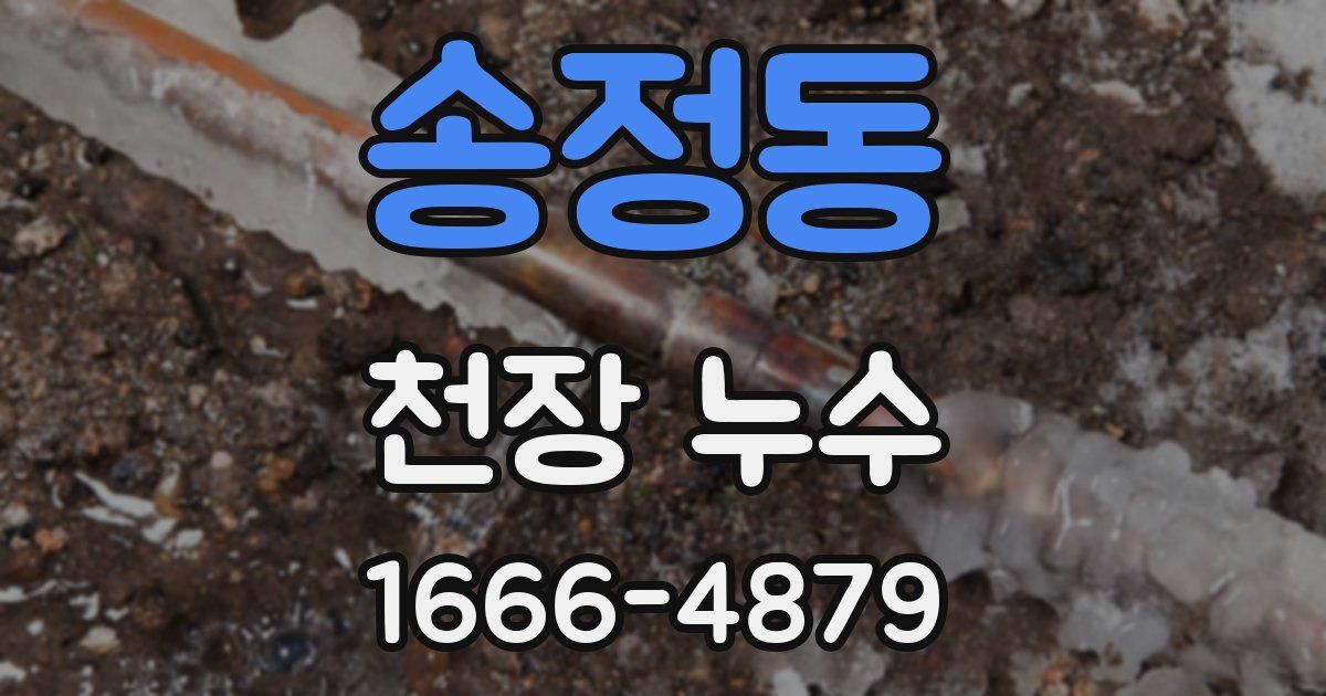 송정동 천장 누수