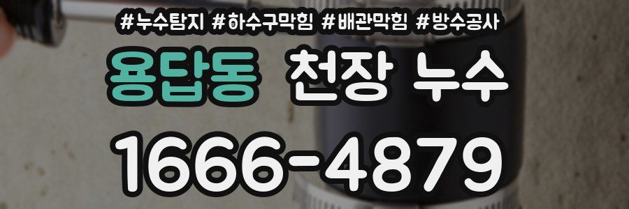 용답동 천장 누수