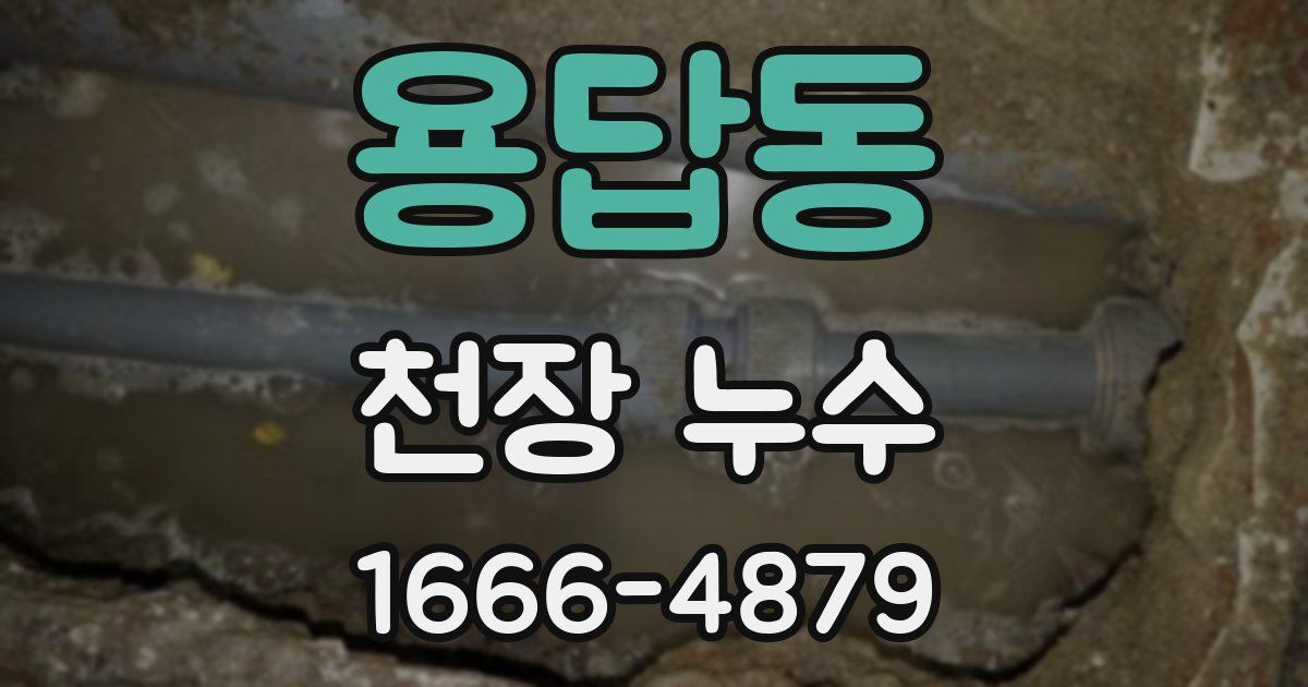 용답동 천장 누수