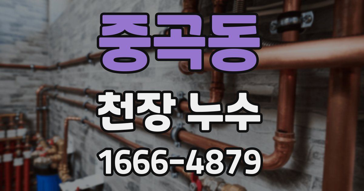 중곡동 천장 누수