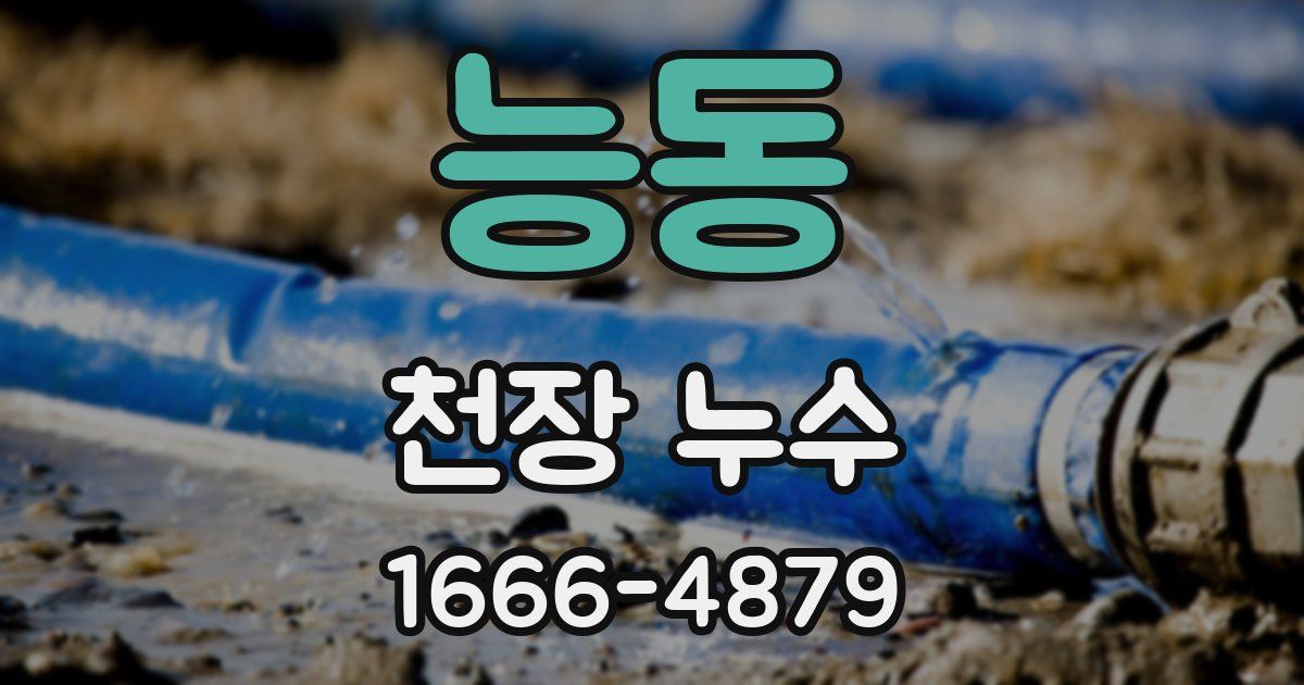 능동 천장 누수