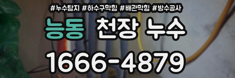 능동 천장 누수