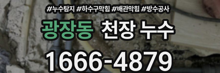 광장동 천장 누수