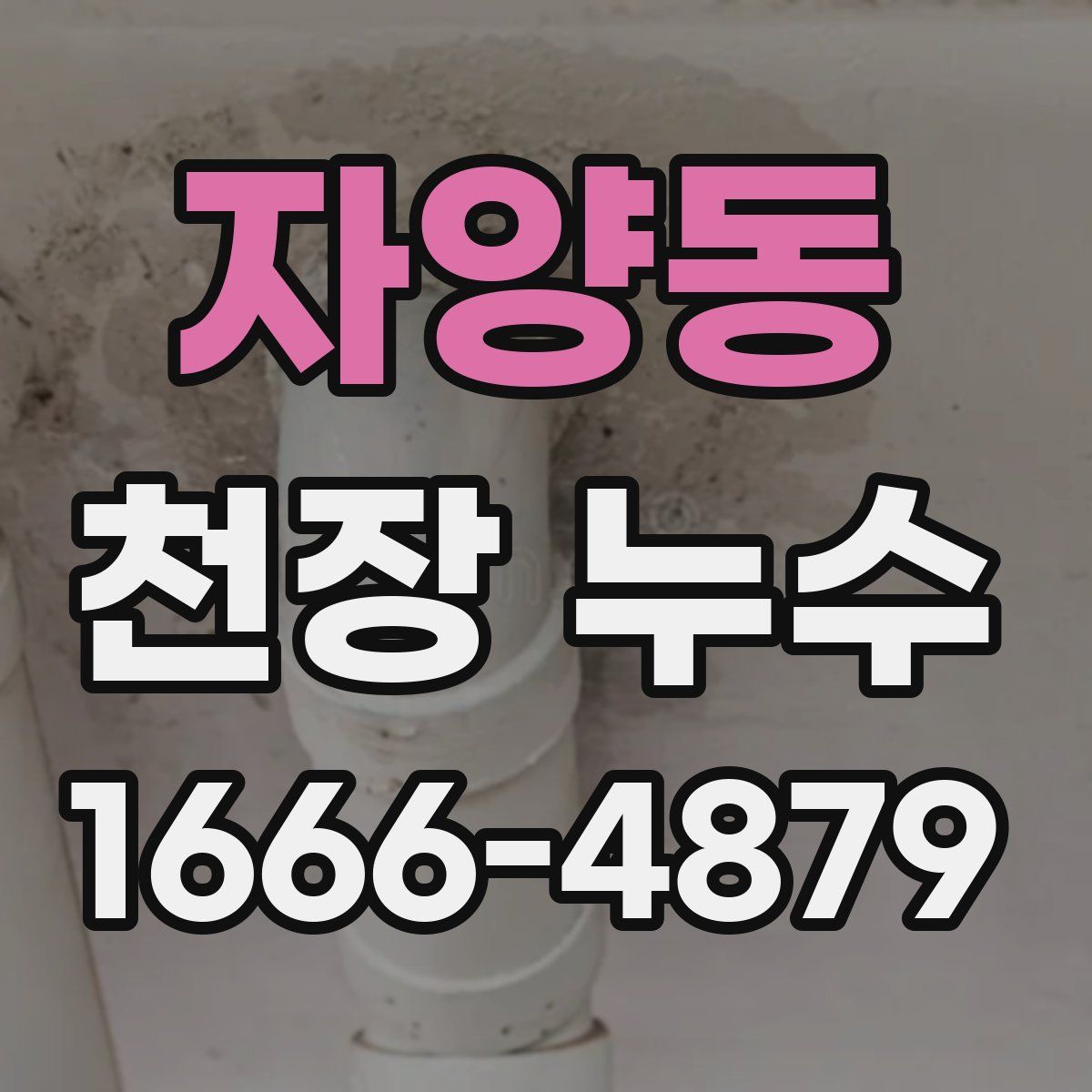 자양동 천장 누수