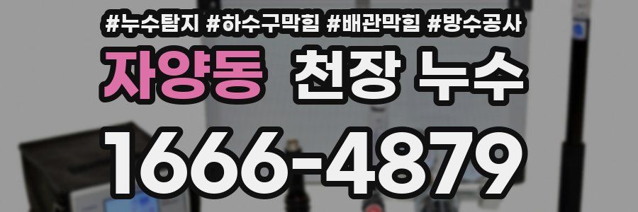 자양동 천장 누수