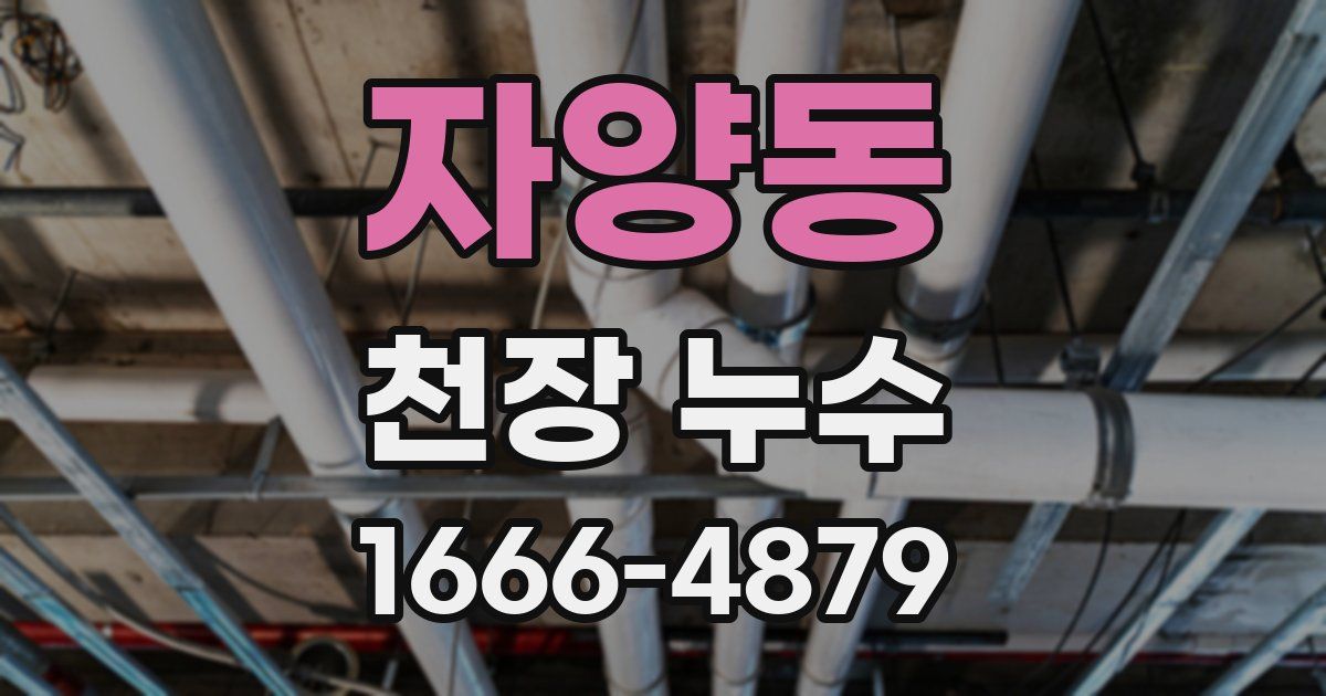 자양동 천장 누수