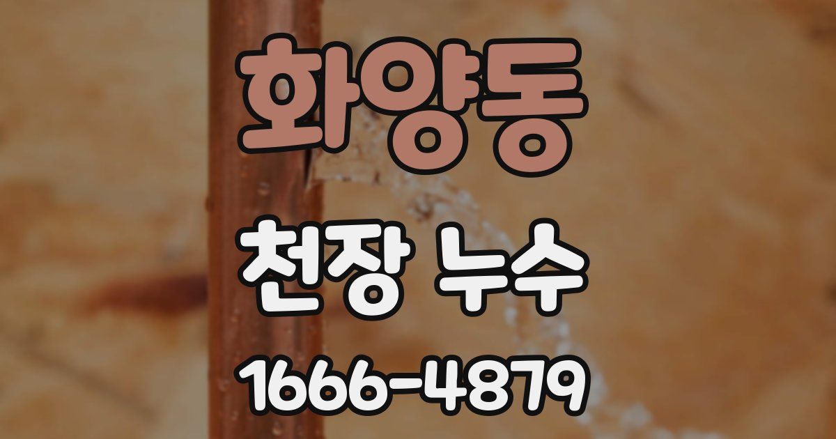 화양동 천장 누수